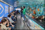 Porto Belo realiza Semana do Meio Ambiente com projeto de educa