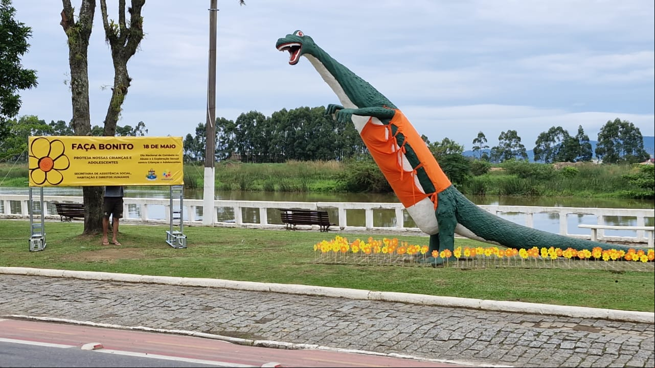 Campanha de Combate 